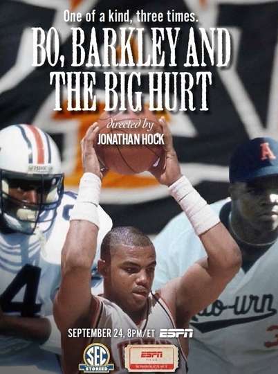 Bo Barkley and the Big Hurt Poster