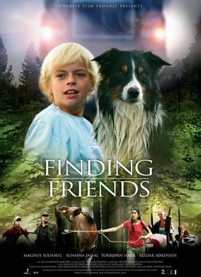 Finding Friends Poster