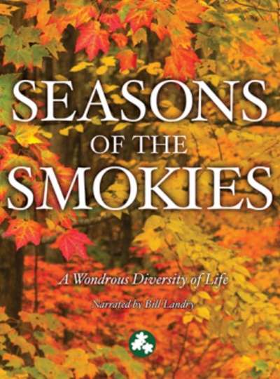 Smoky Mountain Explorer  Seasons of the Smokies