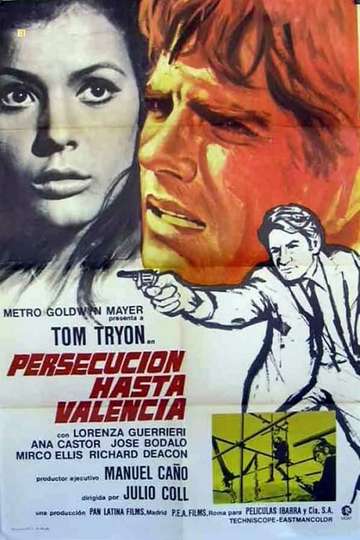 Persecución hasta Valencia Poster