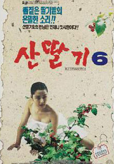 Mountain Strawberries 6 Poster