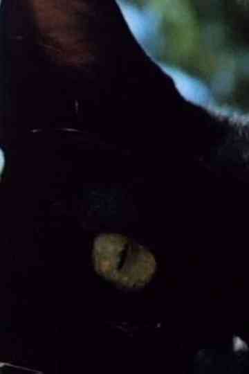 In a Summer Garden Poster