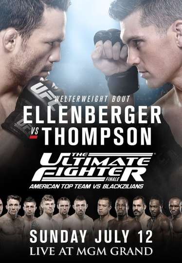 The Ultimate Fighter 21 Finale Poster