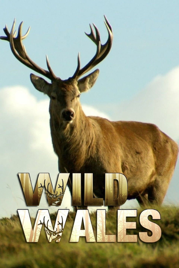 Wild Wales