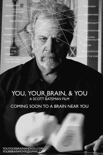 You Your Brain  You