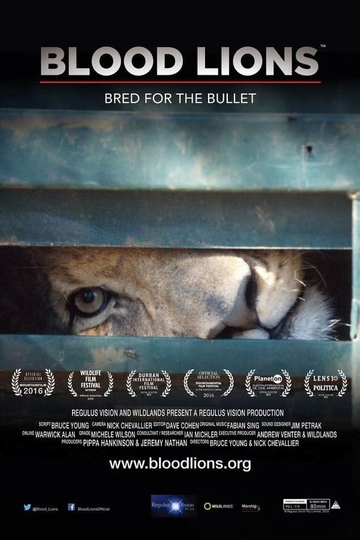 Blood Lions Poster