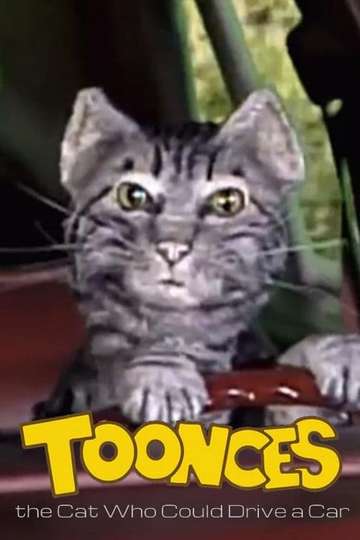 Toonces the Cat Who Could Drive a Car