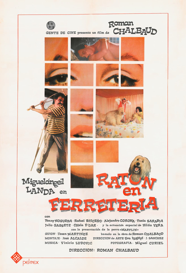 Ratón en Ferretería Poster