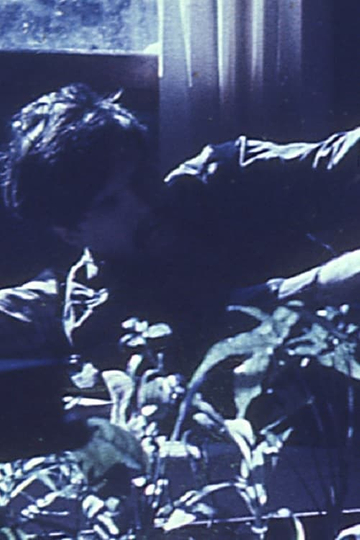 Films by Stan Brakhage An AvantGarde Home Movie