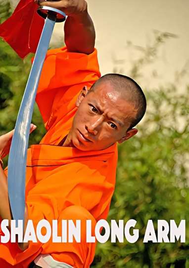 Shaolin Long Arm Poster