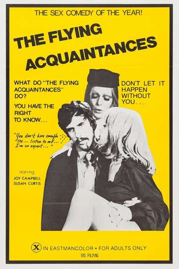 Flying Acquaintances Poster