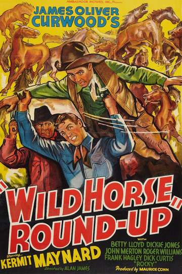 Wild Horse RoundUp Poster