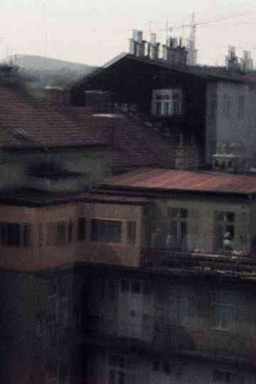 3377 No Danube