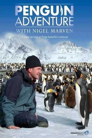 Penguin Adventure with Nigel Marven