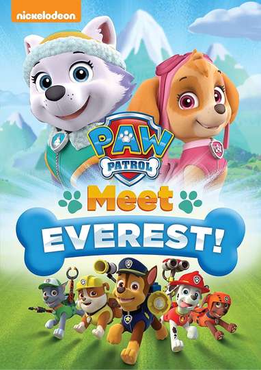 Paw Patrol Meet Everest Poster