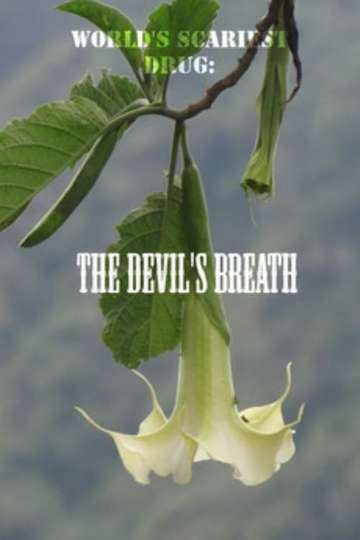 Worlds Scariest Drug The Devils Breath