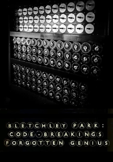 Bletchley Park Codebreakings Forgotten Genius