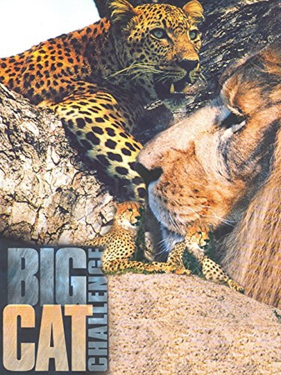 Big Cat Challenge Poster