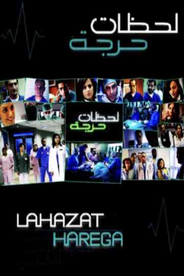 Critical Moments poster