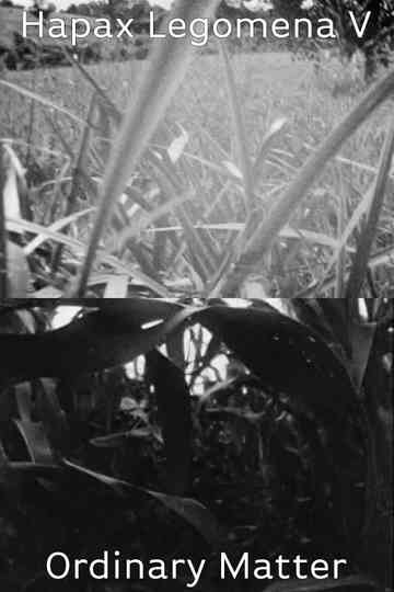 Hapax Legomena V Ordinary Matter poster