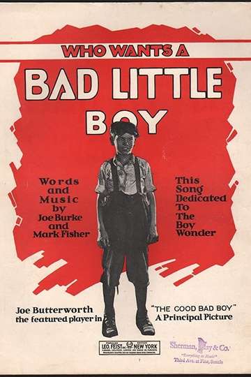 The Good Bad Boy Poster