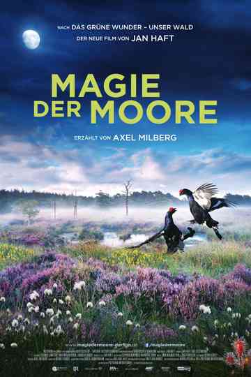 Magie der Moore Poster
