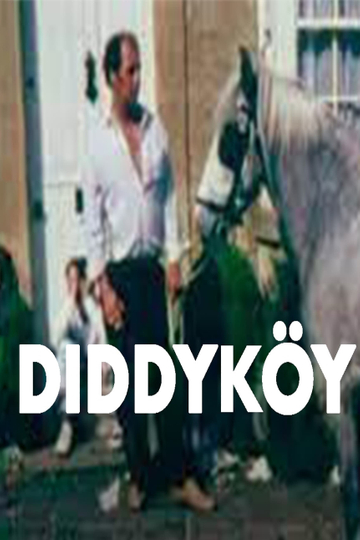 Diddyköy