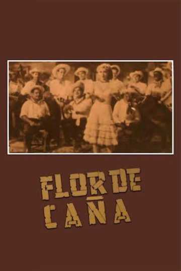 Flor de caña