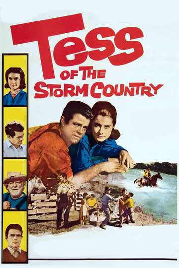 Tess of the Storm Country Poster