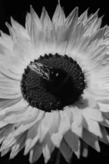 Floral Cooperative Societies