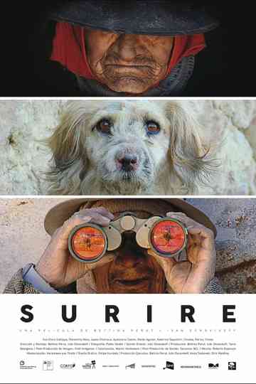 Surire Poster