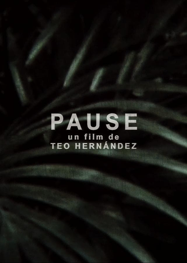 Pause Poster