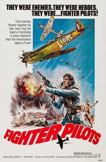 Fighter Pilots Poster
