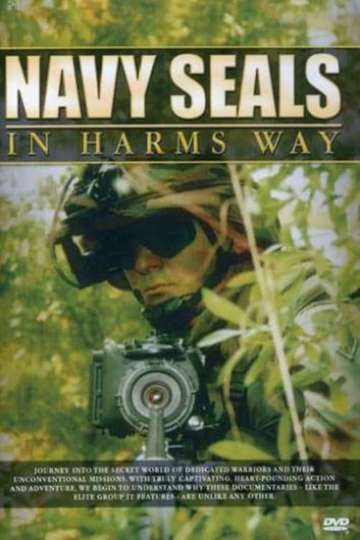 Navy SEALs In Harms Way