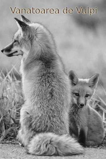 Fox Hunting Poster