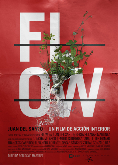 Flow Poster