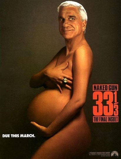 Naked Gun 33⅓: The Final Insult Poster