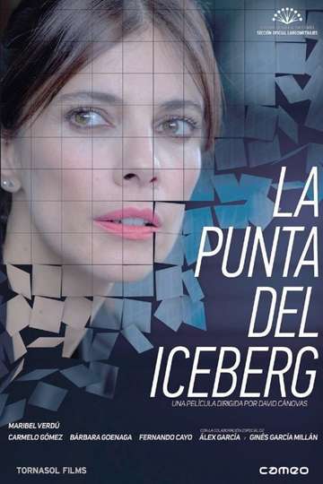 The Tip of the Iceberg Poster