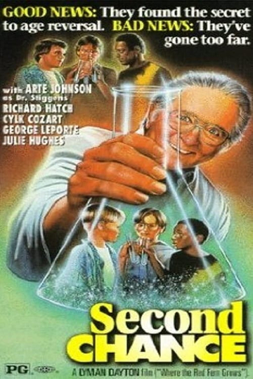 Second Chance Poster