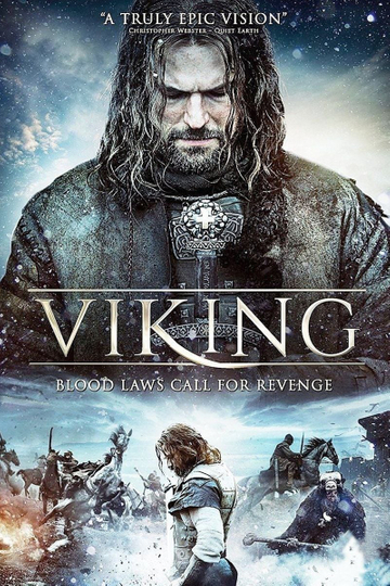 Viking Poster