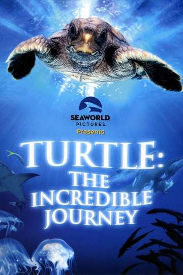 Turtle The Incredible Journey
