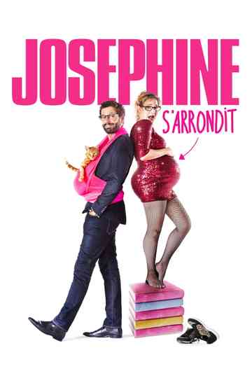Josephine, Pregnant & Fabulous poster