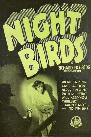 Night Birds Poster