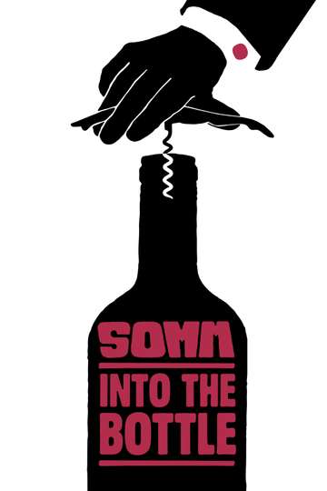 Somm Into the Bottle Poster