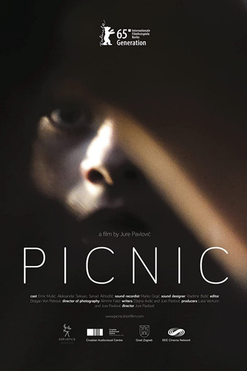 Picnic Poster