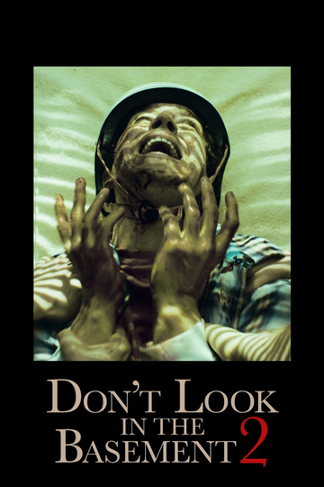 Dont Look in the Basement 2 Poster