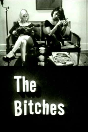 The Bitches Poster
