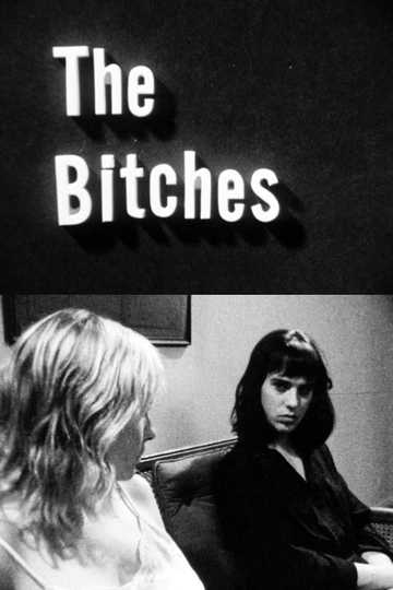 The Bitches Poster