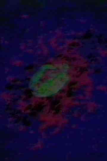 Circling