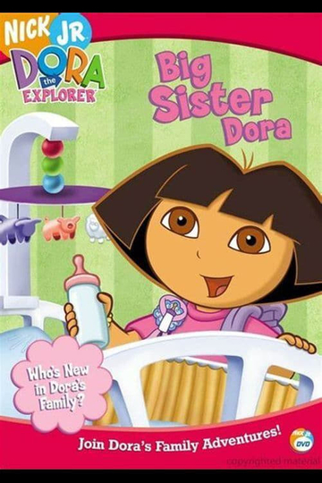 Dora the Explorer Big Sister Dora